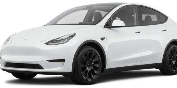 TESLA MODEL Y 2021 5YJYGDEE2MF159362 image